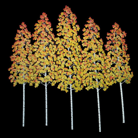 Aspen Grove