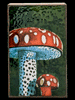 276 -Mushroom