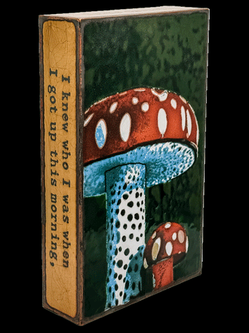 276 -Mushroom