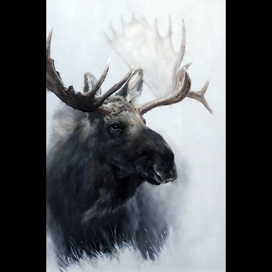Autumn Winds by artist Doyle Hostetler moose wildlife oil painting