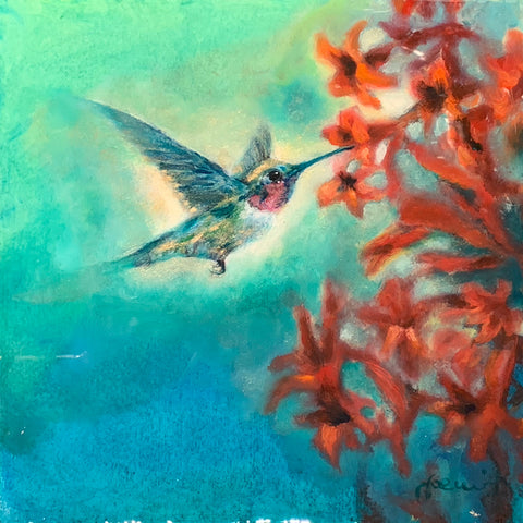 Allen's Hummingbird