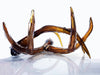 Amber Antlers
