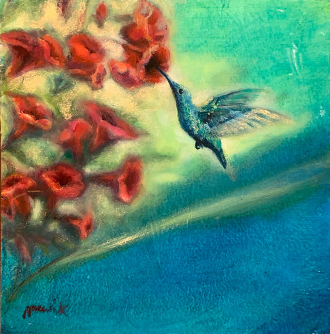 Anna's Hummingbird 2