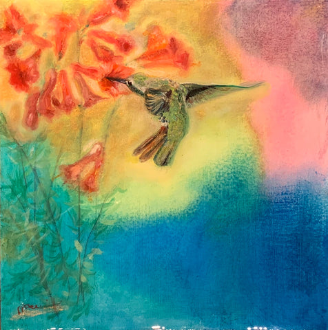 Anna's Hummingbird 3