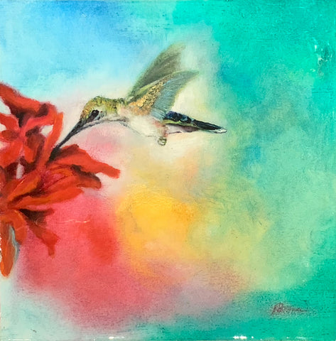 Anna's Hummingbird