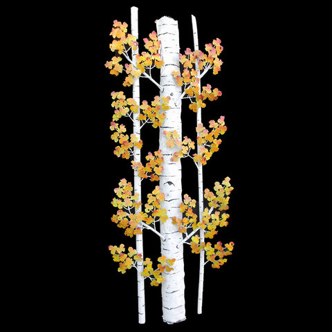 Aspen Column