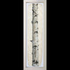 Aspen tree on gampi in white frame by artist Pete Zaluzec