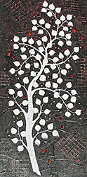 Aspen Black