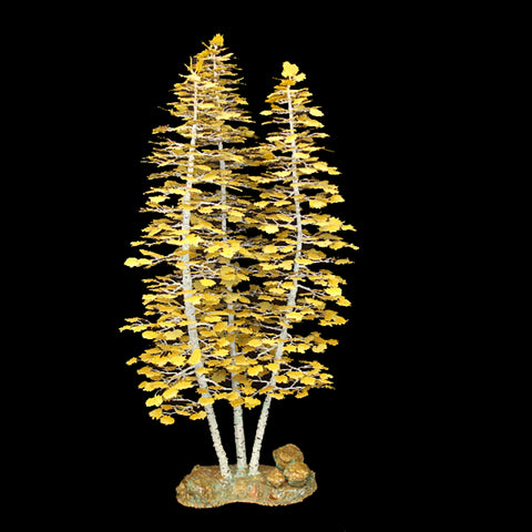 Aspen Grove on Bronze Base