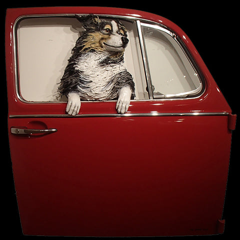 Australian Shepherd in a Red VW Door