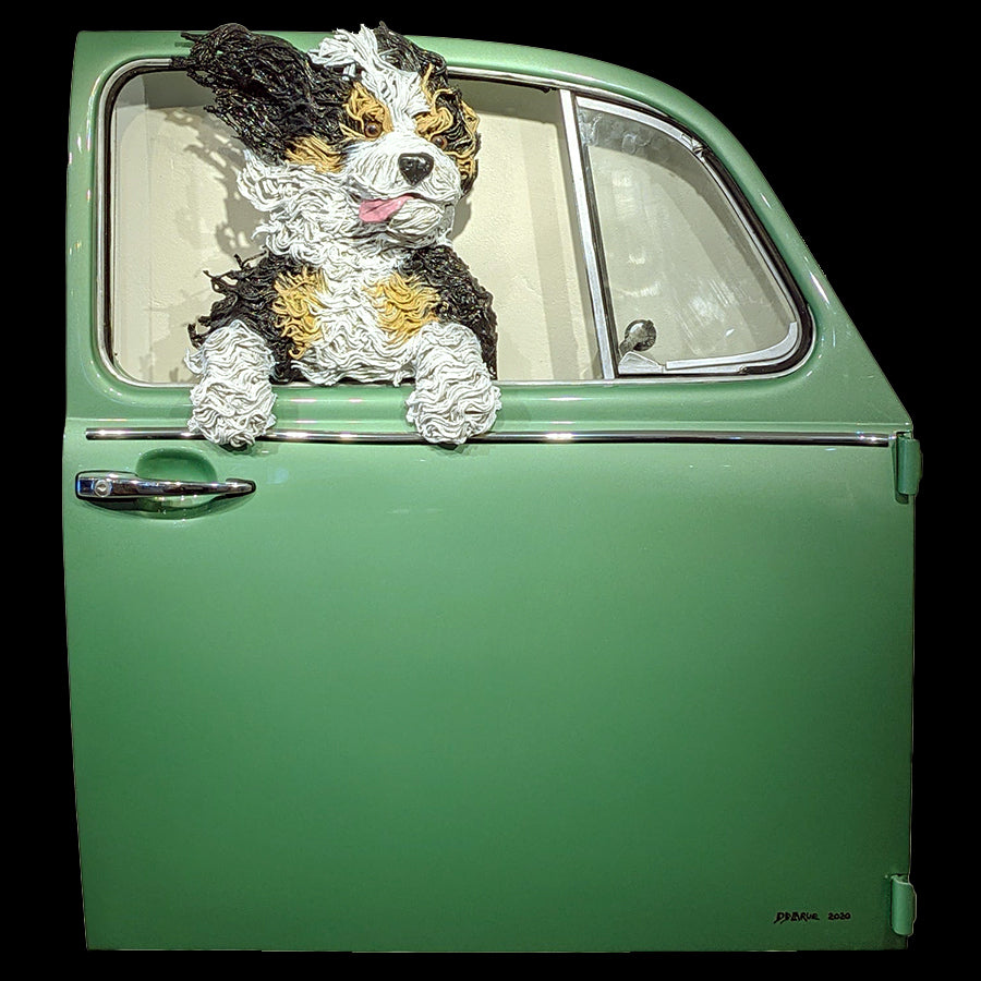 Bernedoodle in a Sage Green VW Door