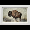 Bison photo printed on gampi in white frame created by artist Pete Zaluzec