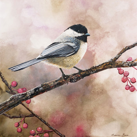 Black Capped Chickadee