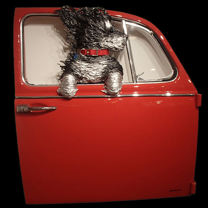 Black and Silver Dog in a Red VW Door