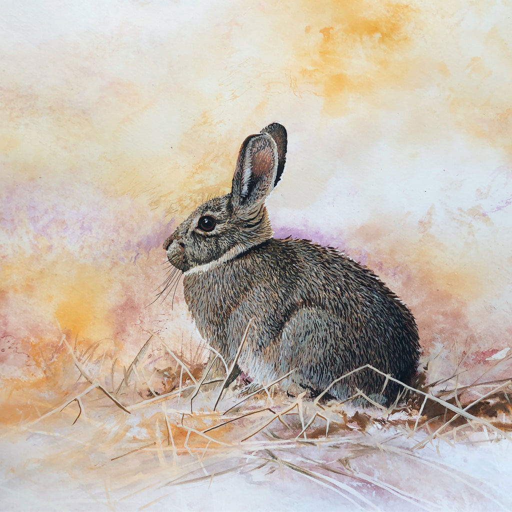 Breaking Cover original wildlife bunny watercolor painting by Colorado Springs artist Maxine Bone