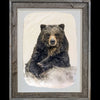 Pete Zaluzec Original Gampi Wildlife Photograph of Bear: Bruno's Poker Face