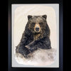 Pete Zaluzec Original Gampi Wildlife Photograph of Bear: Bruno's Poker Face