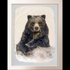 Pete Zaluzec Original Gampi Wildlife Photograph of Bear: Bruno's Poker Face