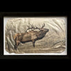 Bugling elk wildlife gampi photo print by artist Pete Zaluzec in black frame