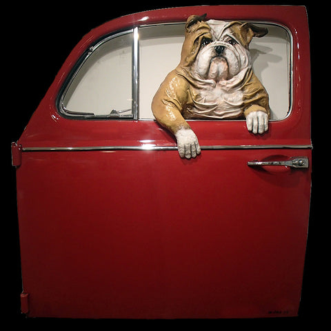 Bulldog in a Red VW Door