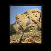 California Quail bird wildlife painting by Colorado artist Maxine Bone realistic - front