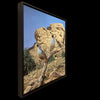 California Quail bird wildlife painting by Colorado artist Maxine Bone realistic - left