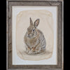 Cottontail gampi print in barnwood frame by Pete Zaluzec