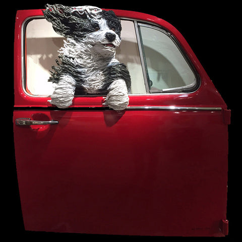 Sheepdog in a Red VW Door