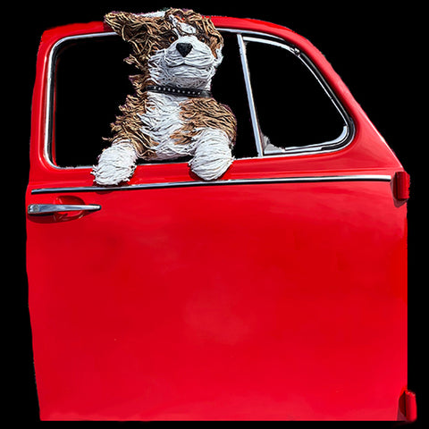 Sheepdog in a Red VW Door