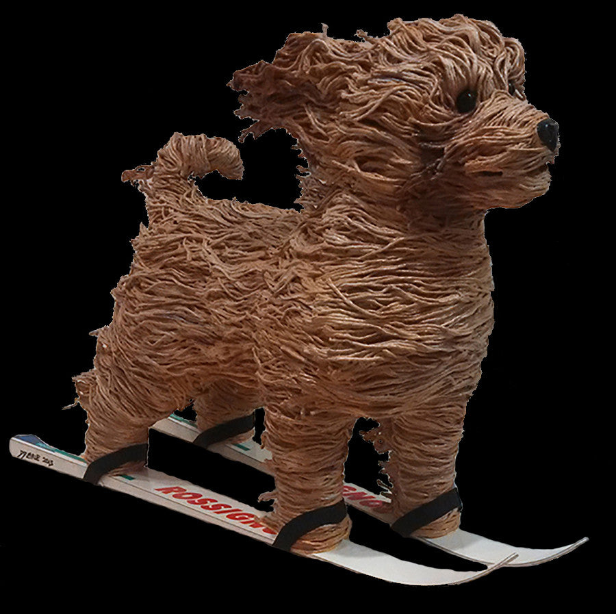 Dog on Skis