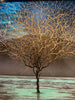 doing well bronze tree by artist nathan bennett