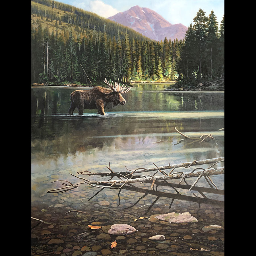 Evening Solitude original oil on canvas landscape mountain painting of a moose in a lake by Colorado artist Maxine Bone