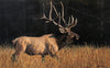 Fields of Gold original oil on canvas wildlife elk painting by Colorado Springs artist Maxine Bone