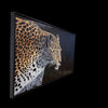 Game-Face-jaguar-cheetah-wildlife-painting-colorado-artist-Maxine-Bone-frame-left