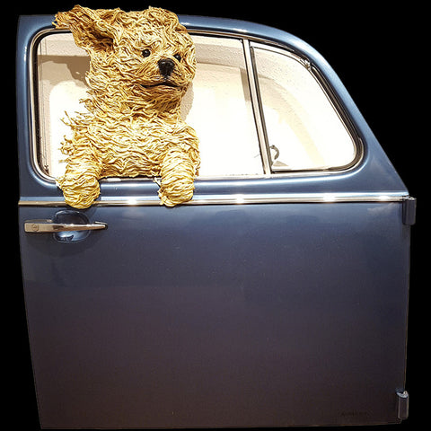 Golden-Doodle in a Blue VW Door