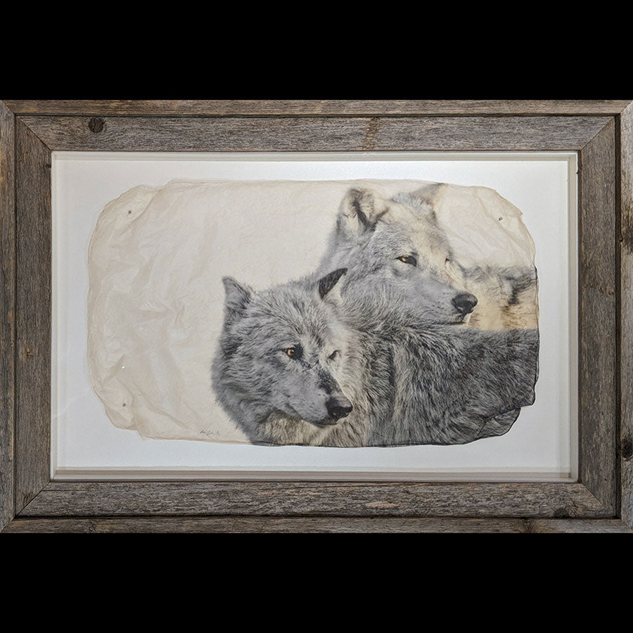 Last Look back two wolves wildlife gampi print by artist Pete Zaluzec