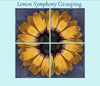 Lemon Symphony grouped together houston llew spiritile