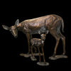 Life Size Doe and Fawn bronze sculpture by artist Marianne Caroselli