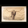 Longhorn gampi print in black frame by Pete Zaluzec