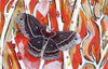 Moth to Flame