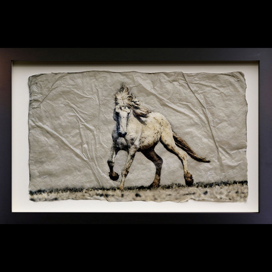Mustang Dance photo printed on gampi in black frame created by artist Pete Zaluzec