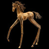 Okaga bronze horse sculpture by Colorado artist Alex Alvis