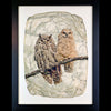 Owl Pair Photograph by Pete Zaluzec