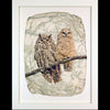 Owl Pair Photograph by Pete Zaluzec