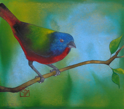 Painted Bunting