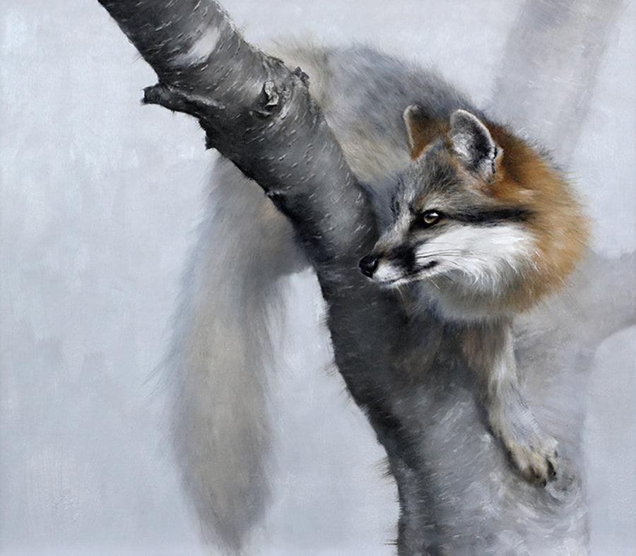 Pin Cherry Perch by artist Doyle Hostetler fox wildlife oil painting