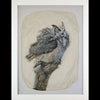 Perched gampi photo print of an owl on a branch created by Pete Zaluzec