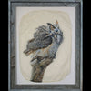 Perched gampi photo print of an owl on a branch created by Pete Zaluzec