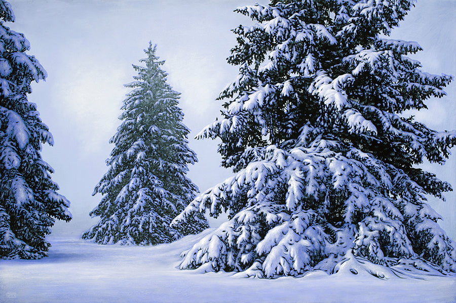 Pines in Winter artist Thane Gorek
