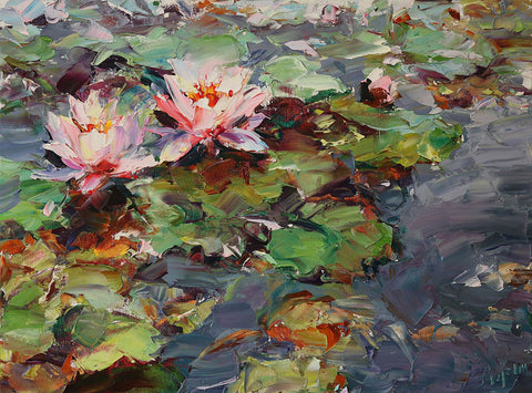 Pink Lotuses